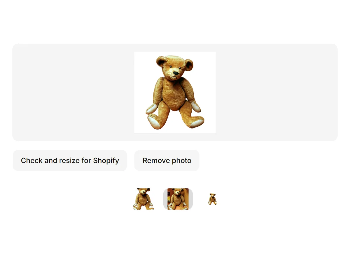 Shopify image size tool with a teddy bear product photo loaded